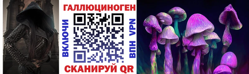 где продают наркотики  площадка Telegram  Галлюциногенные грибы Cubensis  Протвино 